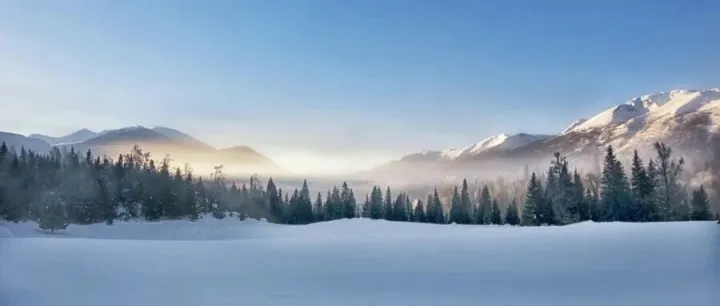 TEMU第三十七弹，来了，高价限流它来了
