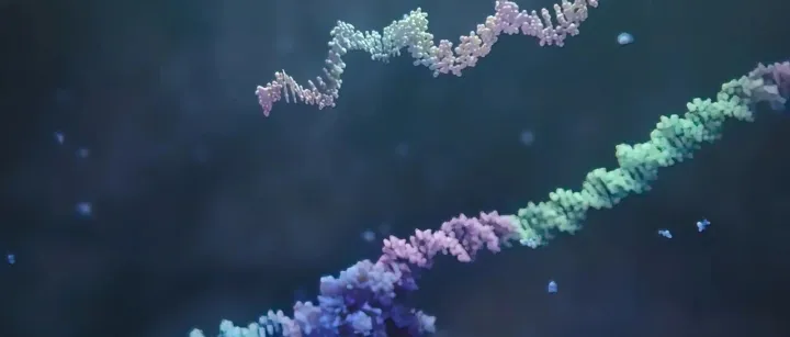 光控“基因对话”：人工细胞用RNA精准遥控活细胞 | 深度报道