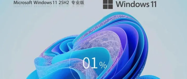 【13-15代CPU】Windows11 25H2 26200.7019 专业版下载