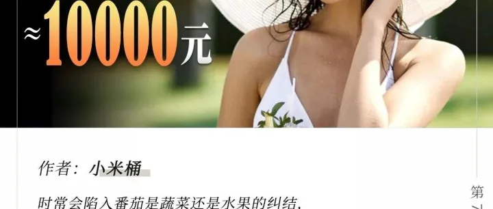 政府给全体老百姓发工资，但代价是什么？