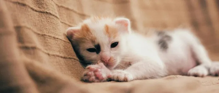 30万亿资金搬家，普通人该躺平还是跟风？