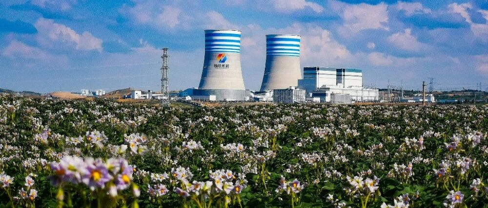 疯狂煤电！总投79.8亿！2×1000MW ！这个煤电项目环评报告书获批- 大数跨境