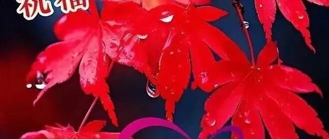 18句早上好问候语每日更新，正能量早安，很赞的祝福短句