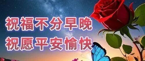 今日晚上好!100张最新版又好看的晚上好吉祥祝福问候晚安图片- 大数跨境