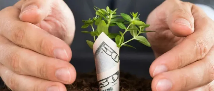 红杉高瓴联手，投了一个机器人