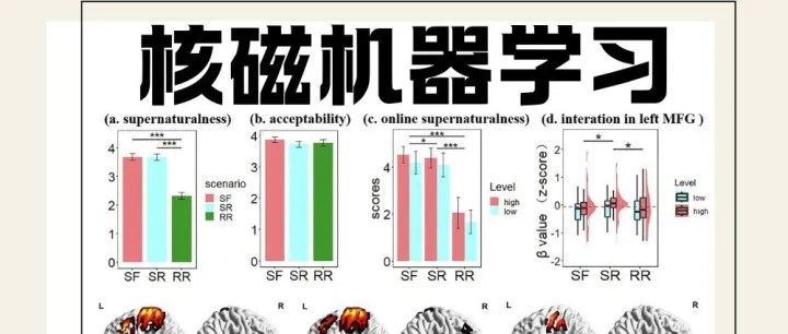 第十八届核磁机器学习班（训练营：2025.12.22~2026.1.3）