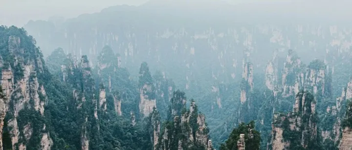 当你在项目中“百思不得解”的时候，不妨看看这个IDES的组件功能激活图