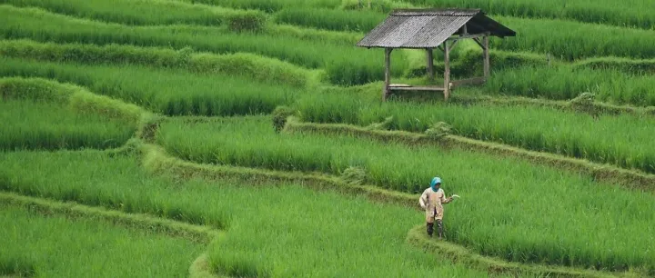 <em>应对</em>气候<em>变化</em>，可<em>持续</em>农业该如何转型？