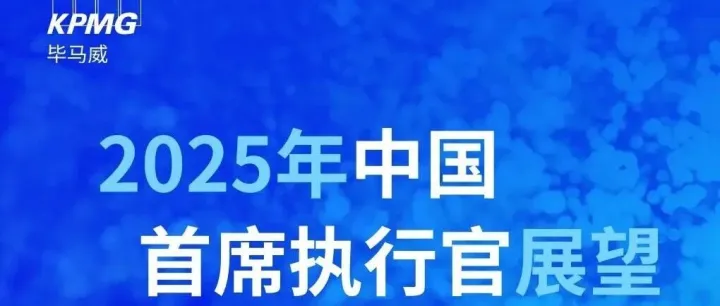 2025中国CEO展望：破局与前瞻