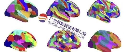 第五十一届磁共振脑影像结构班（广州，1.11-16）