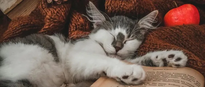 【信托】深度解读《资产管理信托管理办法》，产品净值化+双25%规则终结信托行业类信贷和通道时代，销售渠道洗牌，银行慌了，券商笑了