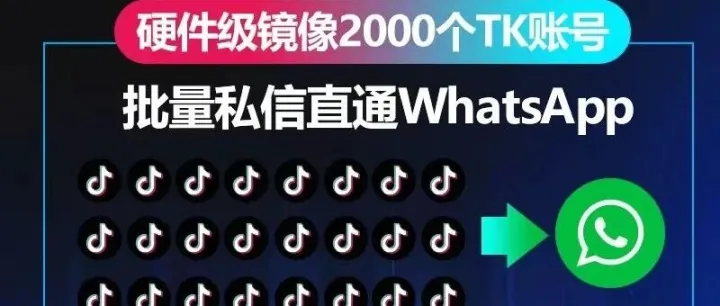 TikTok矩阵玩法，多号<em>引流</em>！