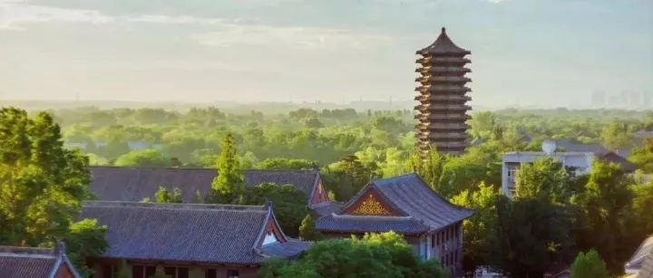 2025中国大学排名正式发布（附榜单）