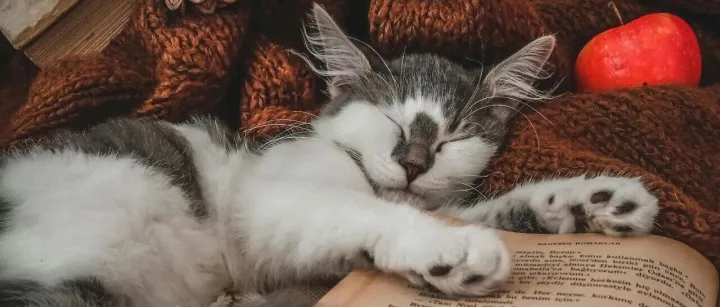 【深度-中金FOF】中金财富买方投顾FOF：卖产品到定制方案，中国50品牌RITAS平台1200亿规模40万用户，财富管理新范式