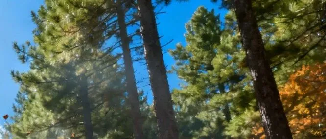 什么是测量仪表回路?什么是信号回路?（示例）