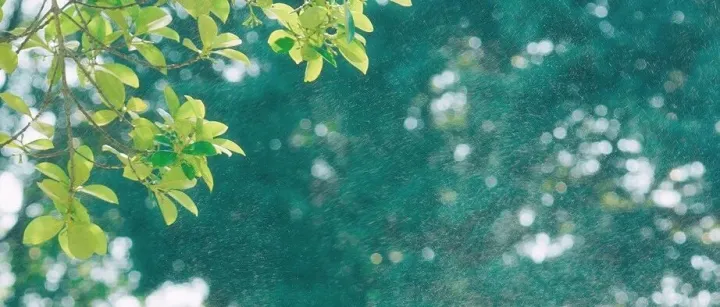 <em>数据</em><em>批量</em><em>导入</em>事务代码LSMW及10个小技巧