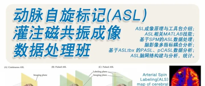 第十四届磁共振ASL（动脉自旋标记）数据处理班（录屏课：2025.12.30~2026.1.6）