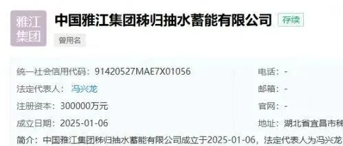 中国雅江集团进军抽水蓄能！