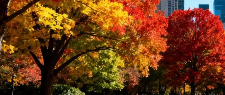 什么是与一次回路连接的控制回路?（示例）