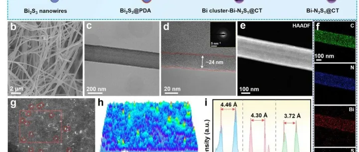 国家优青领衔！厦门大学张桥保/韩佳甲，最新AM！单原子工程实现协同成核与界面调控助力长效无阳极钠金属电池