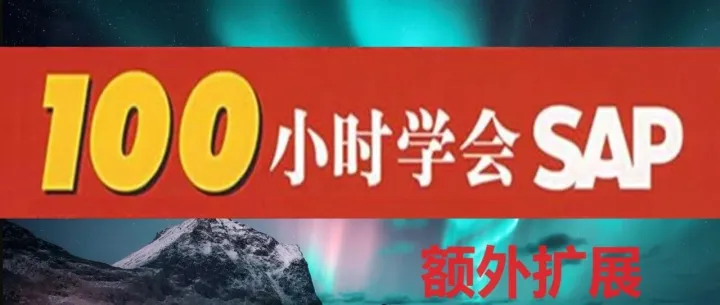 【HONGYUECN出品】100小时学会SAP 额外扩展[合辑]