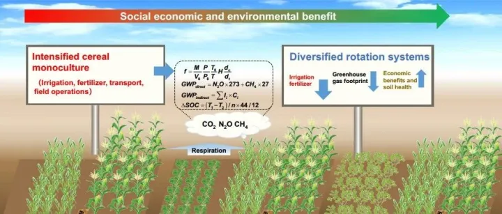 耗时六年I 中国工程院院士康绍忠团队通过多轮做模式改变土壤健康