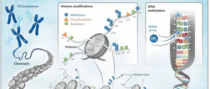 表观研究华而不实？先看看ATAC-seq到底有多大用处，就知道了