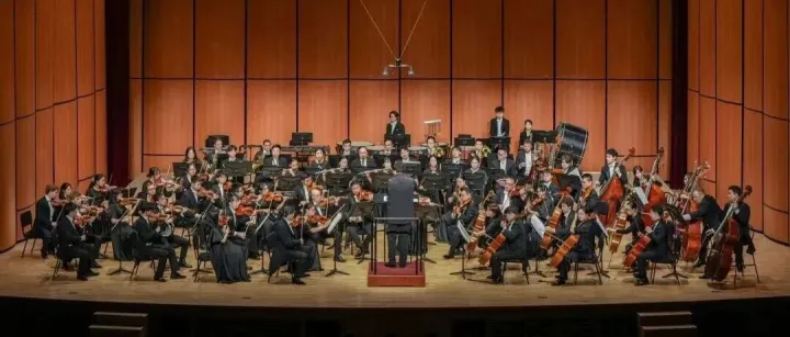 嘉兴这个<em>乐团</em>惊艳国际舞台！