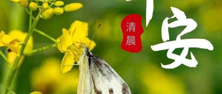 18张今日最新早上好表情图片大全，问候心情好，牵挂情谊好！