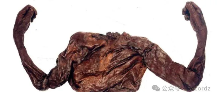 回应<em>伪</em>史论：西方的破纸放地下三千年，为什么不<em>烂</em>？