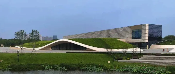 以科技为笔、光影为墨，致力于让沉睡的文化遗产 “活” 起来