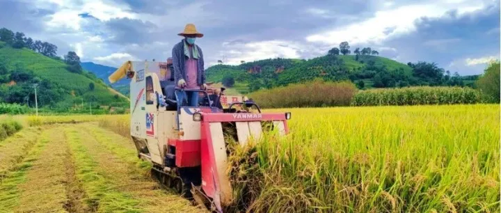 央省媒看<em>臨滄</em> | 看不完的<em>臨滄</em>“豐”景