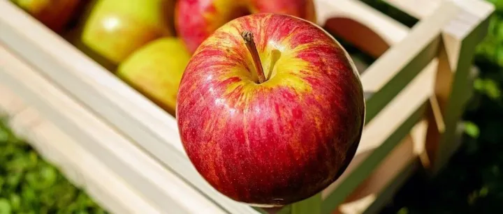 苹果出口报关，必备资料、出口流程、注意事项！