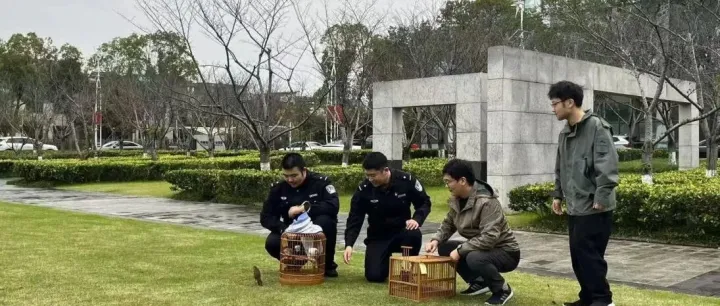 苏锡通园区守护<em>野生</em><em>鸟类</em>，共建和谐生态家园