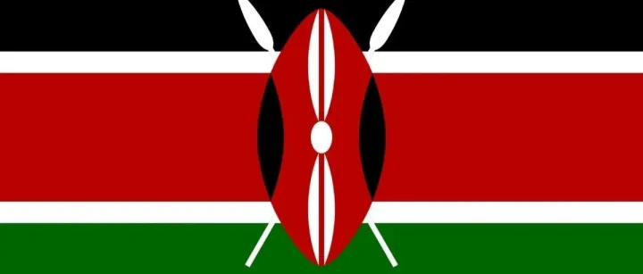 注意！出口肯尼亚需知KRA 发布最新通知COC需附产地证CO