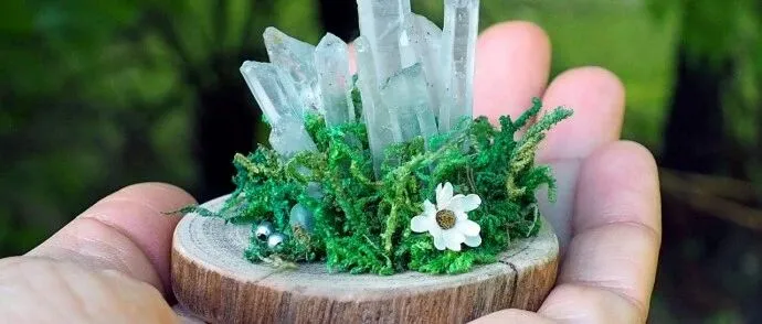 狂销10万+单，爆卖1500万！小众水晶盆栽海外赚麻了 | 行业热点