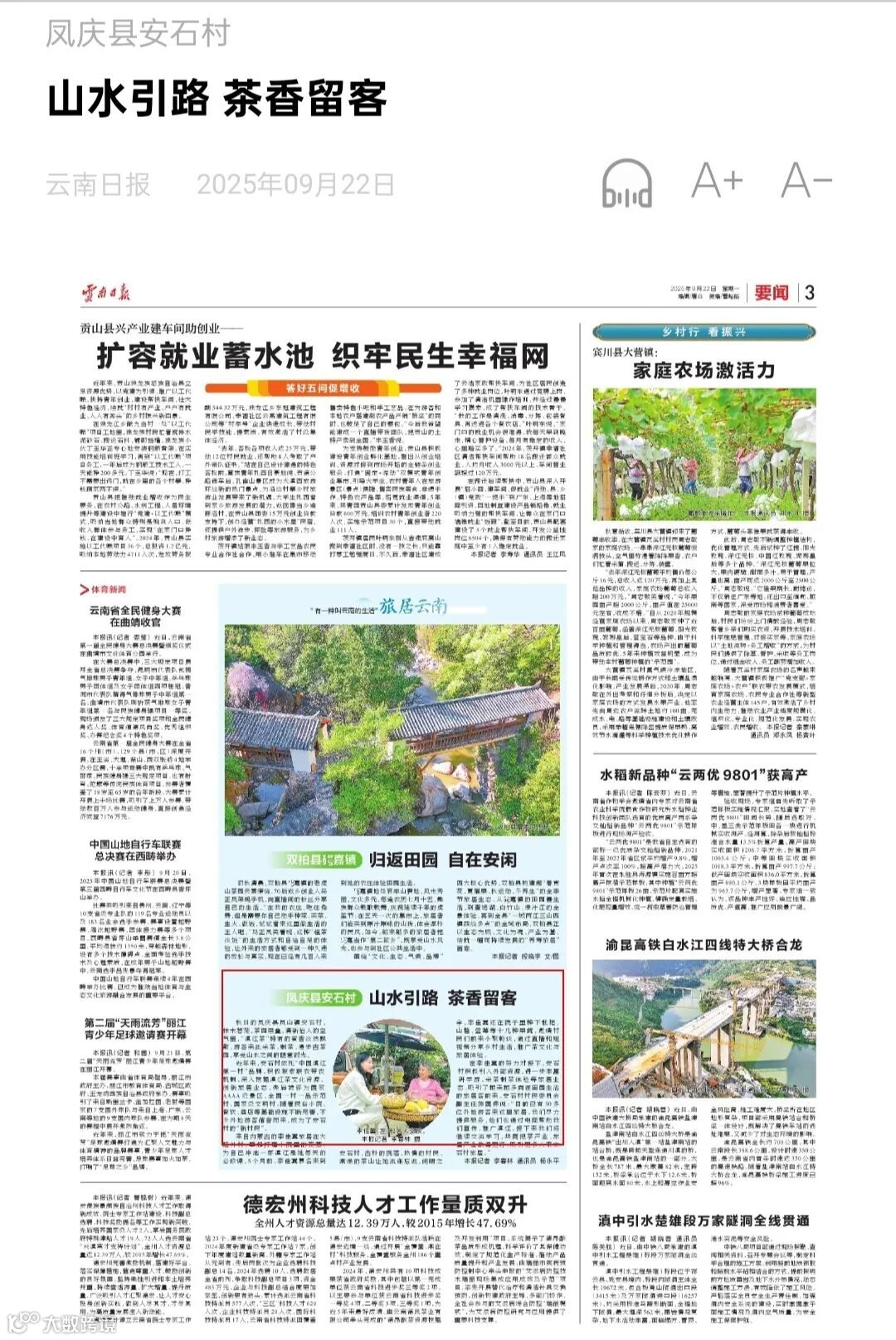 云南日報.jpg