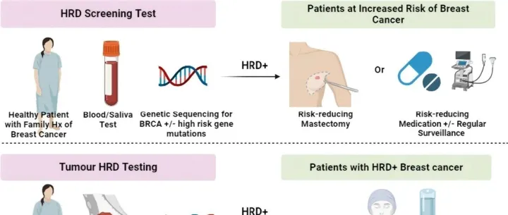 采用一站式分析工具解锁HRD分数的临床应用