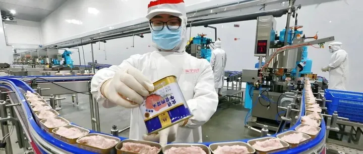 遂宁<em>肉</em>罐头“出海记”