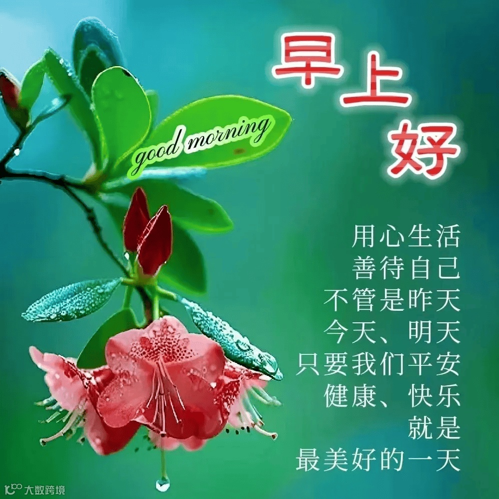 18句今日最新早上好问候语精选大全，最真的牵挂，永远的祝福！- 大数跨境