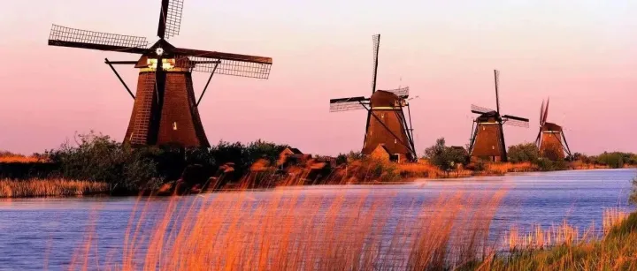 外贸人不可错过的网站，带你深耕荷兰