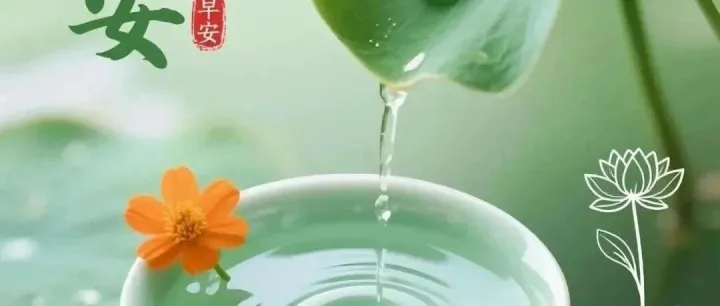 160张非常<em>漂亮</em><em>的</em>早安问候语鲜花<em>图片</em>带字，<em>漂亮</em>好看<em>的</em>早上好问候语<em>图片</em><em>合集</em>