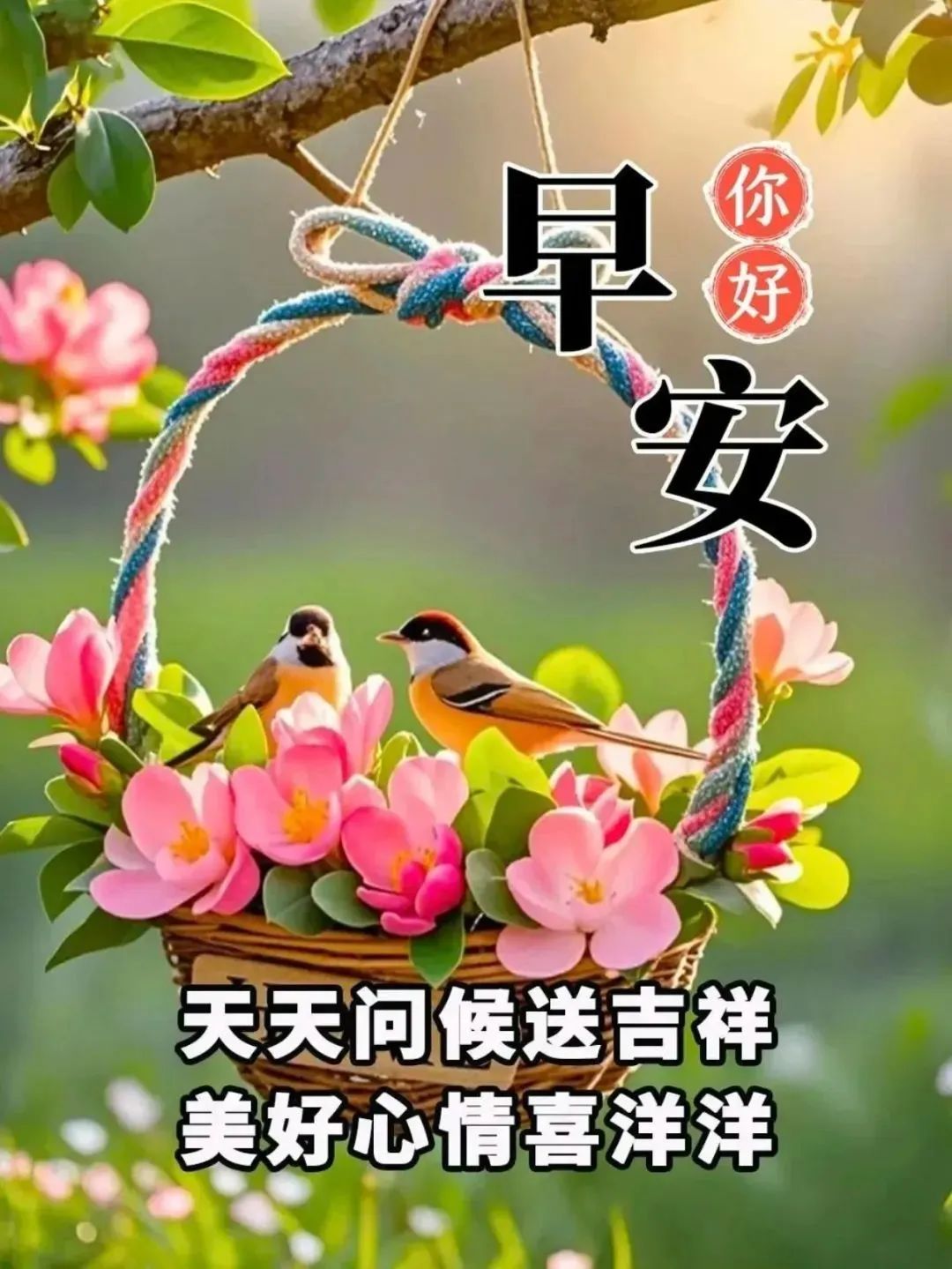 2025年早安最新图片100张,早上好最新图片大全 最美 温馨,一早送祝福,心中永牵挂- 大数跨境