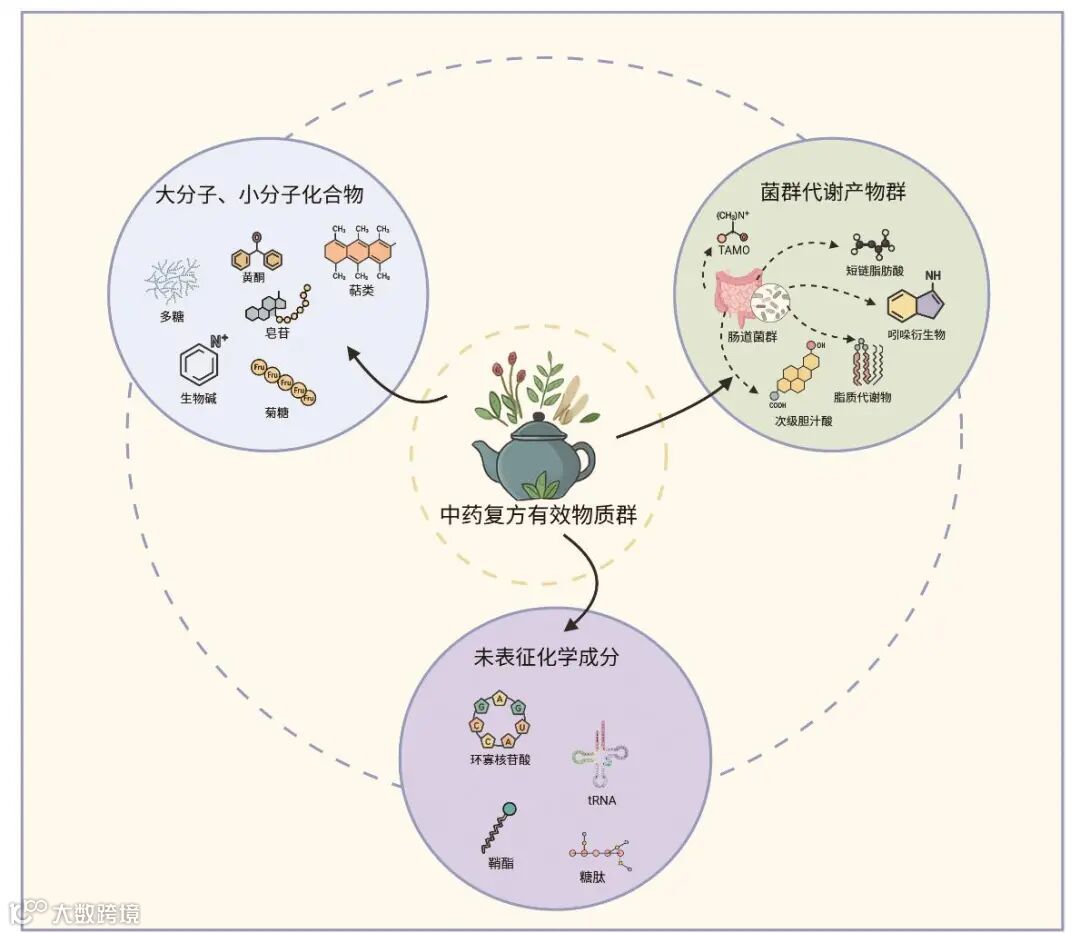 中药复方药效物质基础与作用机制的现代研究——前沿技术与方法- 大数跨境