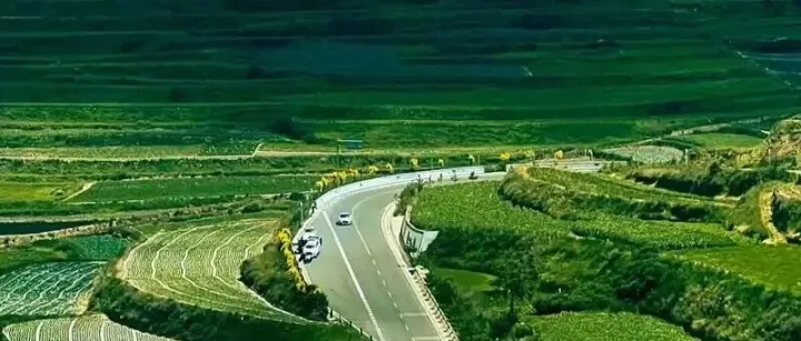 甘肃中医药高质量发展