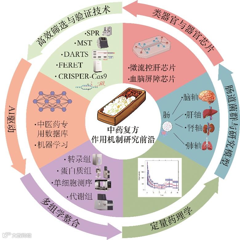 中药复方药效物质基础与作用机制的现代研究——前沿技术与方法- 大数跨境