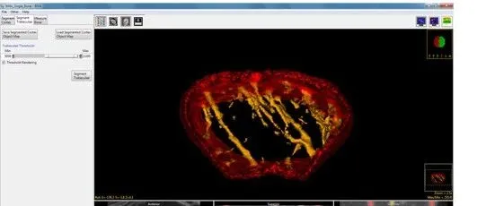 <em>Analyze</em> 生物医学影像全能研究平台