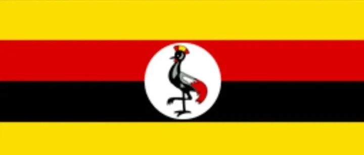 乌干达PVOC认证办理攻略