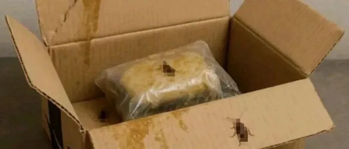 大批亚马逊卖家<em>被</em><em>诈骗</em>