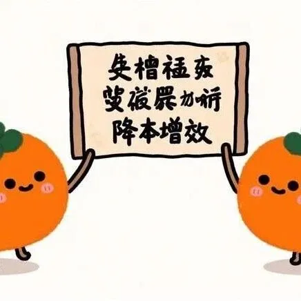 降本增效（九）：如何制定一个可执行，能见效的好方案？